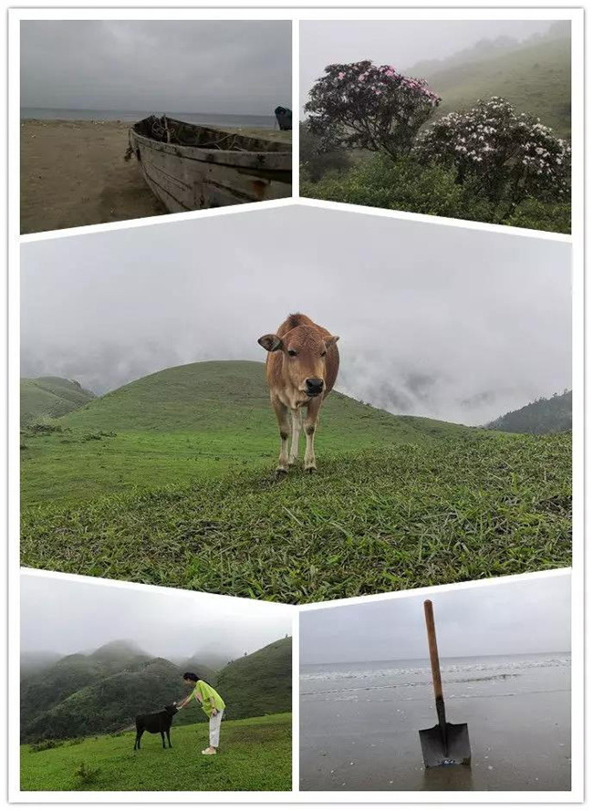 5月1日，陽西藍袍藍看海，陽春雞籠頂登山賞高山杜鵑