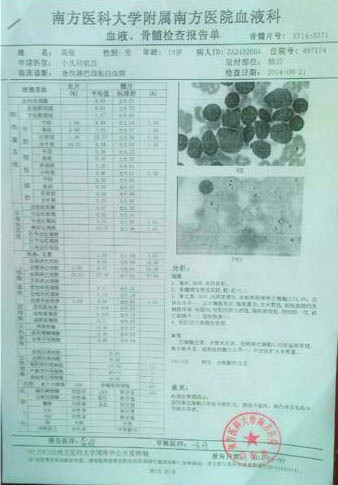 高俊的血液、骨髓檢查報(bào)告單